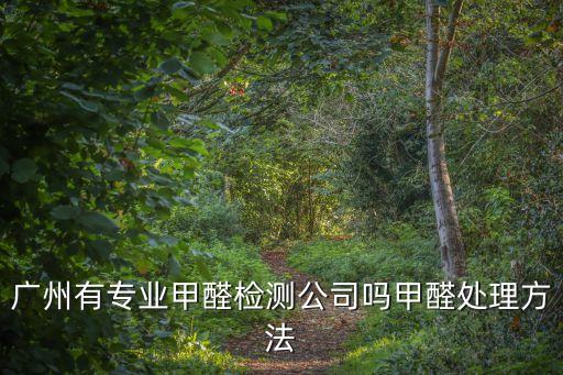 廣州緣趣，廣州有專業甲醛檢測公司嗎甲醛處理方法
