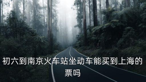 上海市環衛局水運 六隊 戶口，初六到南京火車站坐動車能買到上海的票嗎