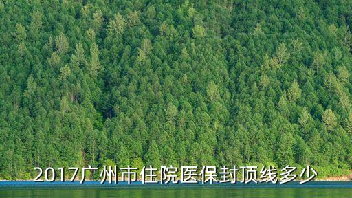2017廣州市住院醫(yī)保封頂線多少