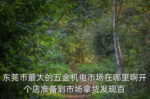 東莞市最大的五金機電市場在哪里啊開個店準備到市場拿貨發現百