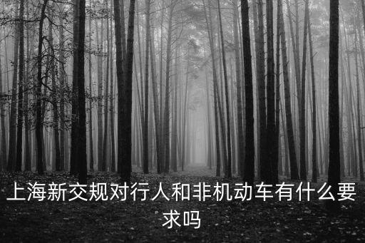 上海新交規對行人和非機動車有什么要求嗎