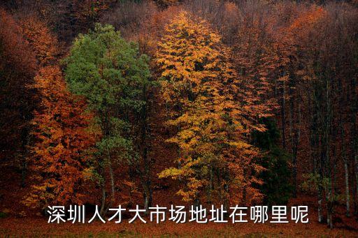 2015年深圳人才市場，深圳人才市場有那些