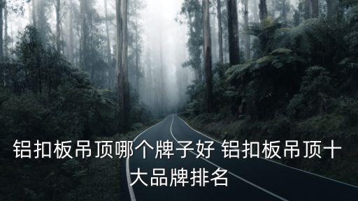 深圳鋁扣板頂上品牌，深圳吊頂類什么品牌好