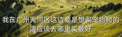 我在廣州天河區(qū)這邊要是想買寵物狗的話應(yīng)該去哪里買最好