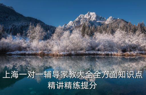 上海一對(duì)一輔導(dǎo)家教大全全方面知識(shí)點(diǎn)精講精練提分