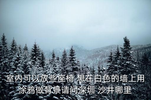 深圳涂鴉表演，室內可以放些座椅 想在白色的墻上用涂鴉做背景請問深圳 沙井哪里