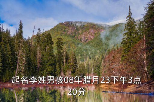 起名李姓男孩08年臘月23下午3點20分