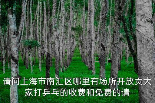 上海市南匯第二中學田徑場，南匯二中在那里的啊求具體地址和公交車