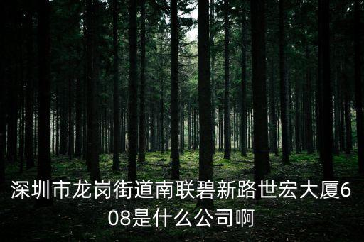 深圳市鴻興業(yè)電子商行，深圳市龍崗街道南聯(lián)碧新路世宏大廈608是什么公司啊