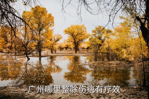 廣州哪里整除傷疤有療效