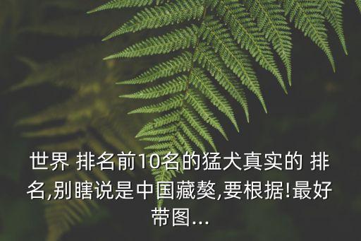 斗狗排名前十的狗,斗狗排名第幾?其實(shí)不是最強(qiáng)