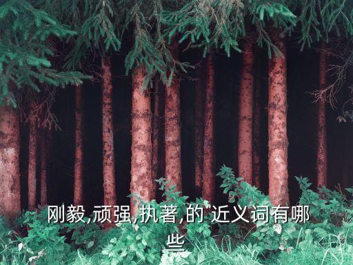  剛毅,頑強,執著,的 近義詞有哪些