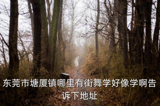 廣場舞東莞塘廈，東莞市塘廈鎮哪里有街舞學好像學啊告訴下地址