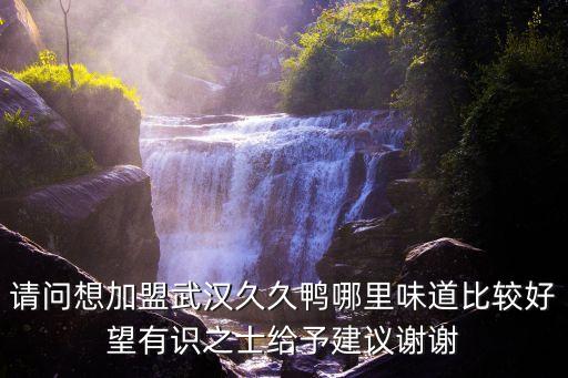 請問想加盟武漢久久鴨哪里味道比較好望有識之士給予建議謝謝