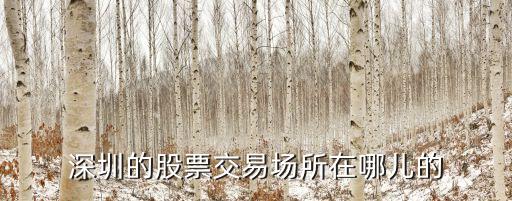 深圳的股票交易場所在哪兒的