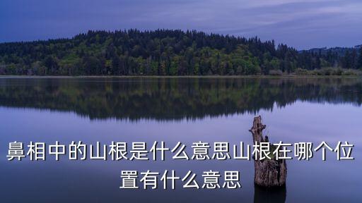 沒有山根，沒底線的人有什么表現沒有原則的人什么表現