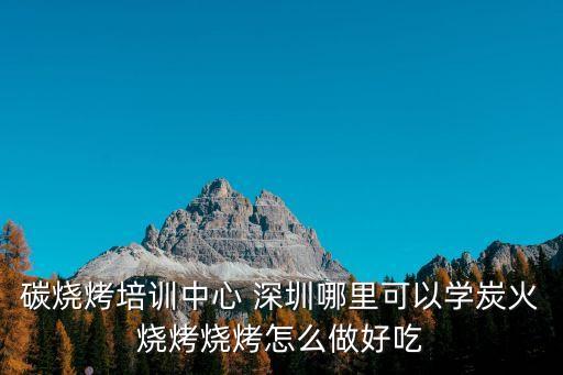 碳燒烤培訓中心 深圳哪里可以學炭火燒烤燒烤怎么做好吃