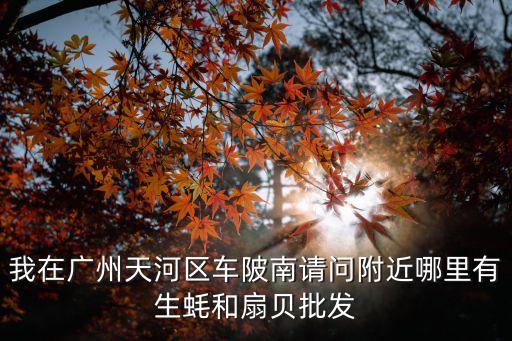 我在廣州天河區(qū)車(chē)陂南請(qǐng)問(wèn)附近哪里有生蠔和扇貝批發(fā)