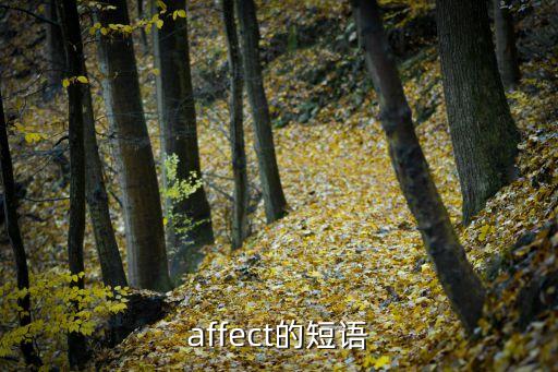 affect的短語