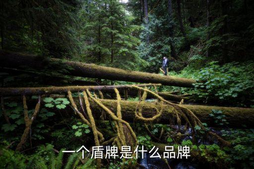 一個盾牌是什么品牌