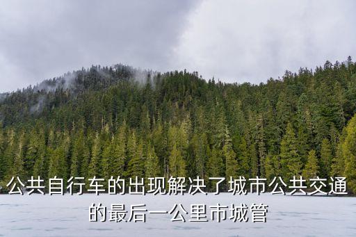 公共自行車的出現解決了城市公共交通的最后一公里市城管