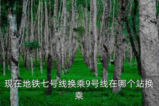 現在地鐵七號線換乘9號線在哪個站換乘