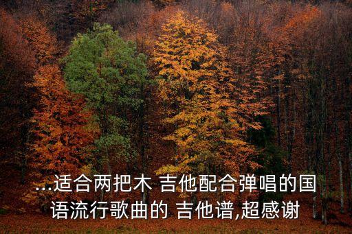全是愛吉他譜