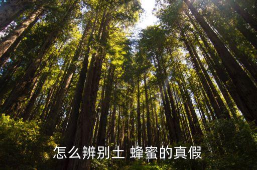 土真蜂蜜,怎么分辨真假土蜂蜜?看圖說(shuō)話