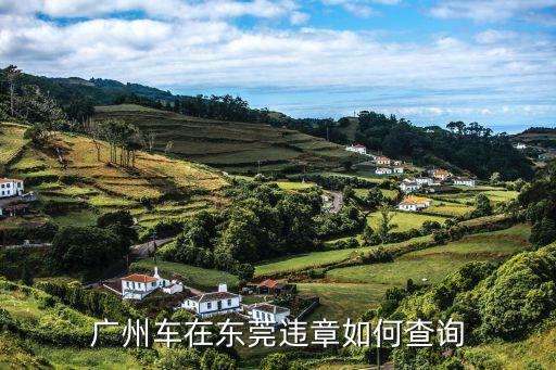 東莞違章查詢處理，廣州車在東莞違章如何查詢