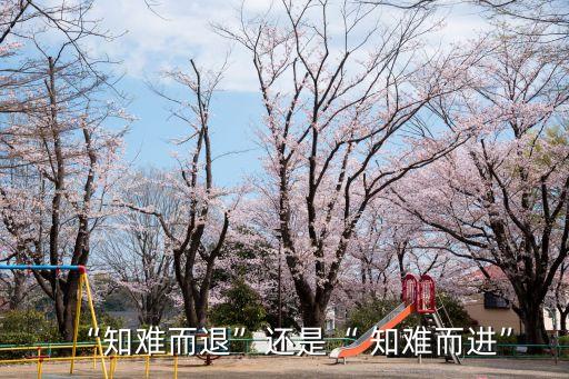 “知難而退”還是“ 知難而進”