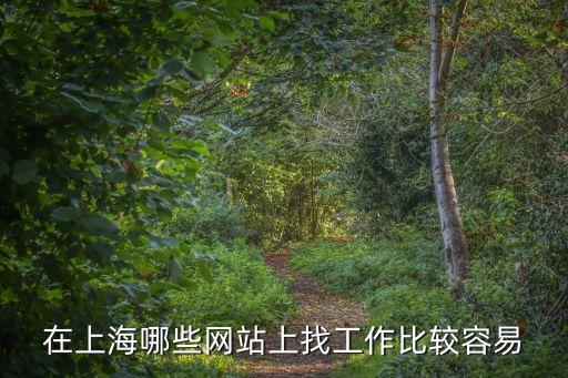 在上海哪些網(wǎng)站上找工作比較容易