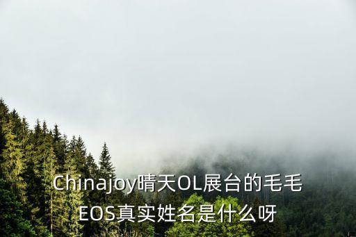 上海市虹口平模 黃希哲，重慶那有模型專賣店