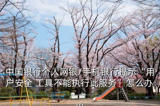 中國銀行個人網銀/手機銀行提示“用戶安全 工具不能執行此服務”怎么辦...