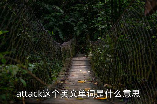 attack這個英文單詞是什么意思