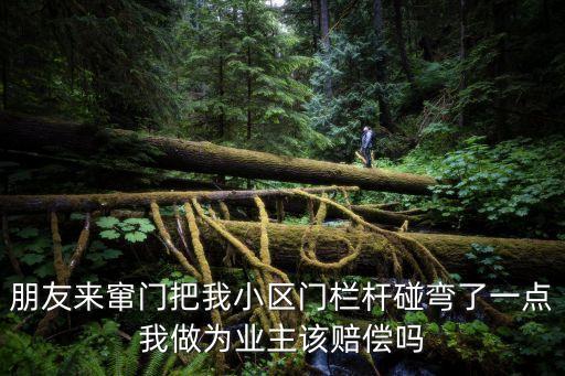 朋友來竄門把我小區門欄桿碰彎了一點我做為業主該賠償嗎