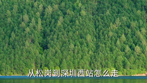 從松崗到深圳西站怎么走