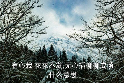 有心栽 花花不發(fā),無心插柳柳成蔭,什么意思