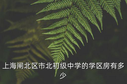 上海市北初級(jí)中學(xué) 胡，上海市市北初級(jí)中學(xué)的校草校花到底是誰 2010年的