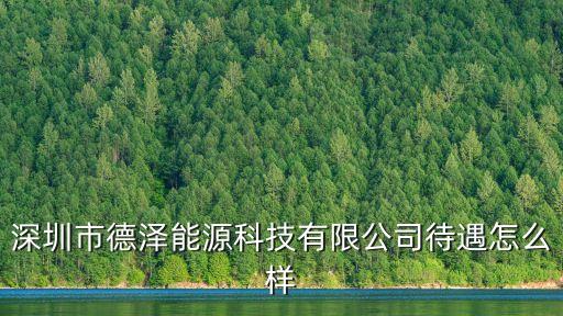 深圳市德澤能源科技有限公司待遇怎么樣