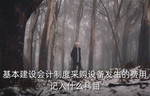 基本建設會計制度采購設備發生的費用記入什么科目