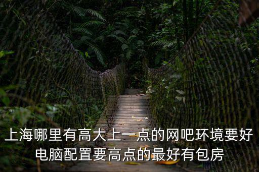上海哪里有高大上一點(diǎn)的網(wǎng)吧環(huán)境要好電腦配置要高點(diǎn)的最好有包房
