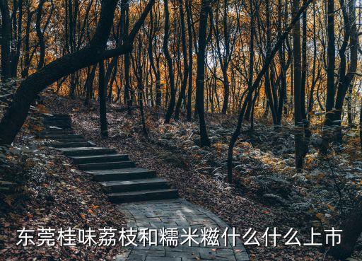東莞桂味荔枝上市時(shí)間，荔枝什么時(shí)候有賣的