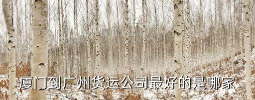 廈門到廣州貨運(yùn)公司最好的是哪家