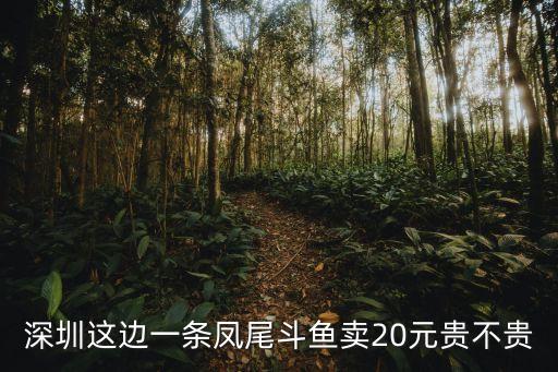 深圳這邊一條鳳尾斗魚賣20元貴不貴