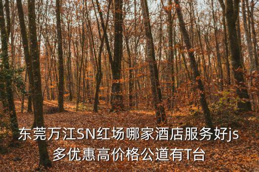 東莞萬江SN紅場哪家酒店服務好js多優惠高價格公道有T臺