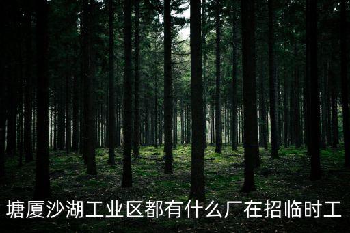 塘廈沙湖工業(yè)區(qū)都有什么廠在招臨時工