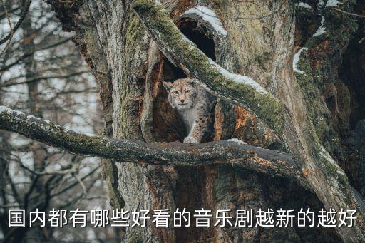 音樂劇推薦，有哪些好的音樂劇