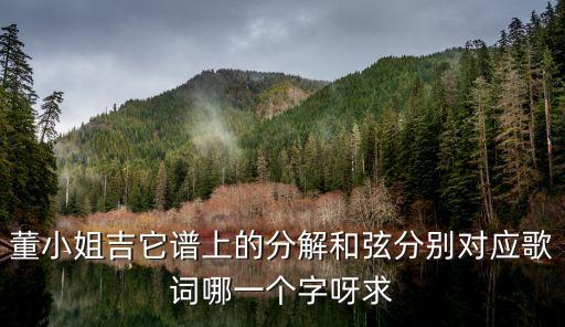 董小姐吉他譜c調(diào)，吉他小白彈吉他C調(diào)董小姐幫忙添加點(diǎn)旋律和色彩已上圖  搜