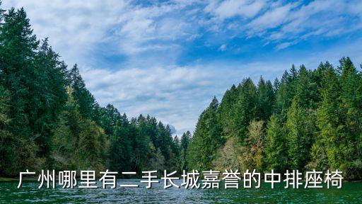 廣州二手汽車坐椅，廣州哪里有二手長城嘉譽的中排座椅