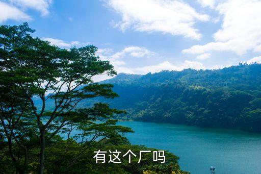 有這個廠嗎